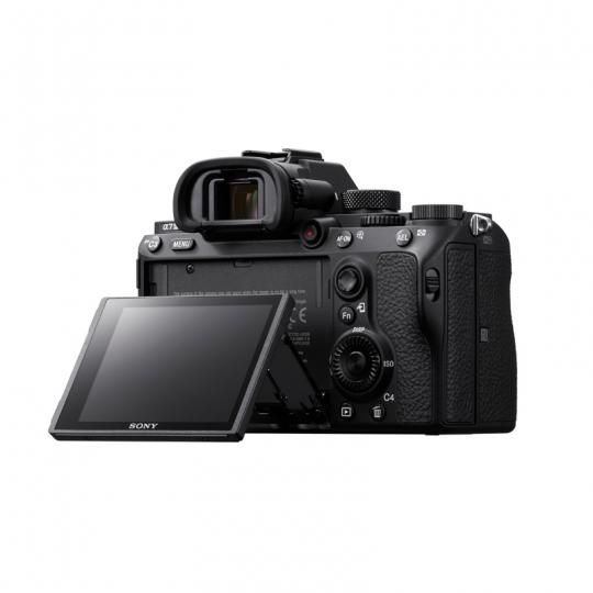Sony A7 Mark III & 24-105mm G OSS