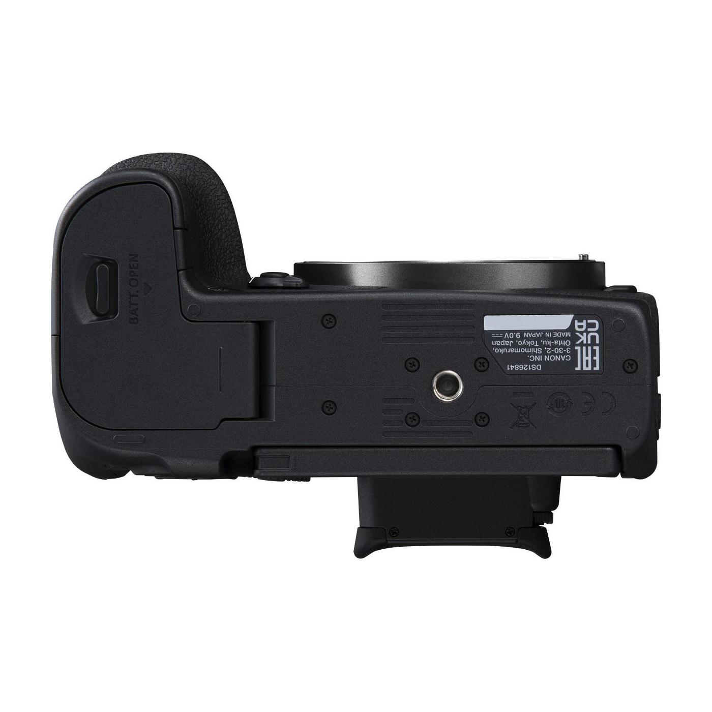 Canon EOS R7 & 18-150mm Kit