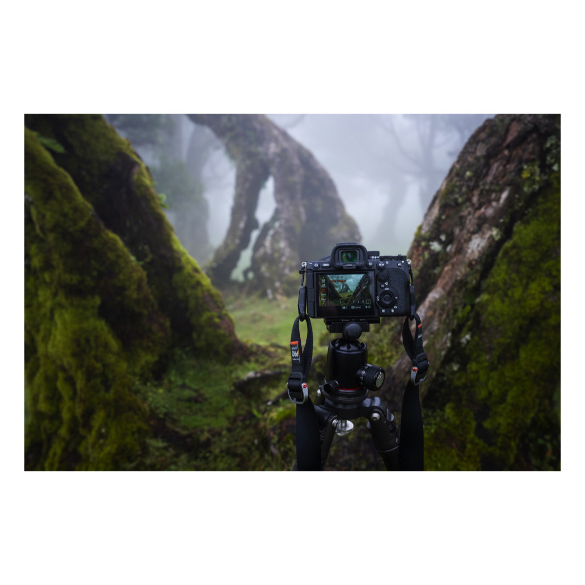 Sony A7r Mark V Body