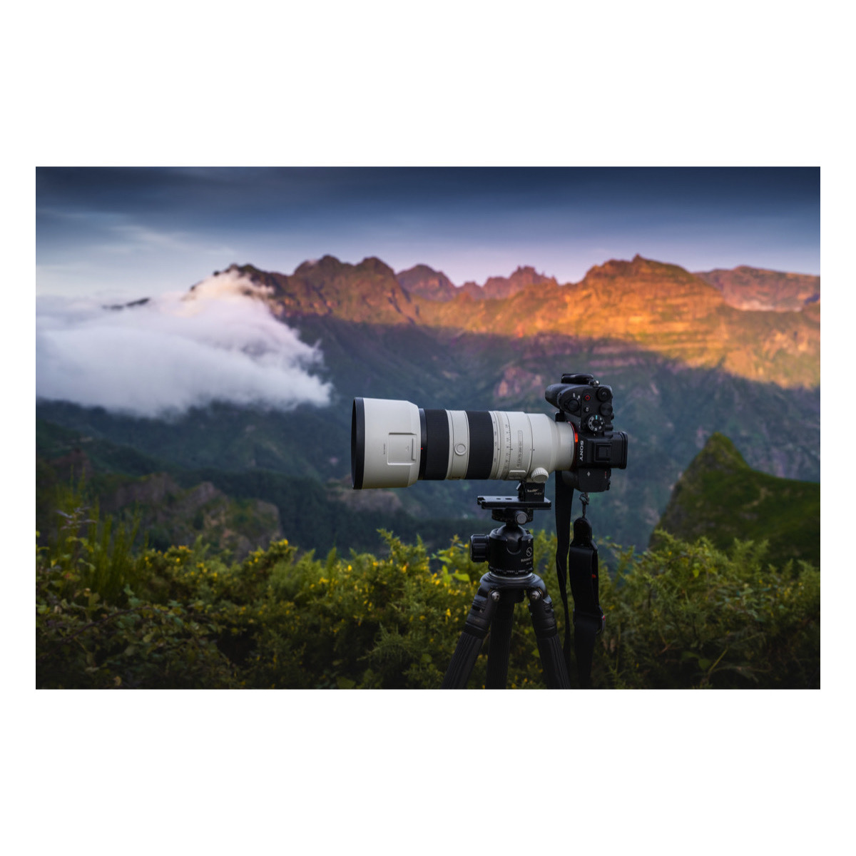 Sony A7r Mark V Body