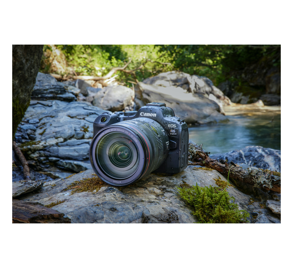 Canon EOS R6 Mark II