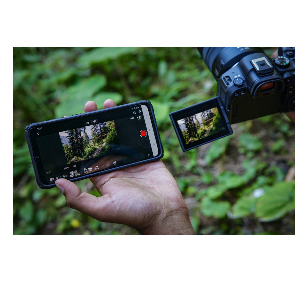 Canon EOS R6 Mark II