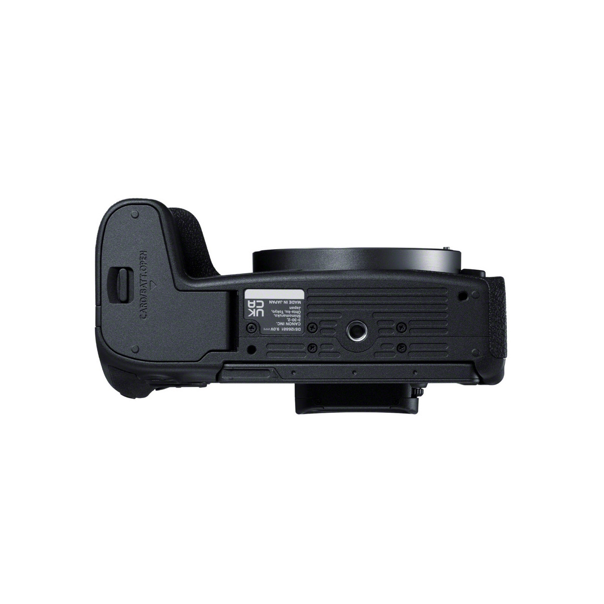 Canon EOS R8 Body