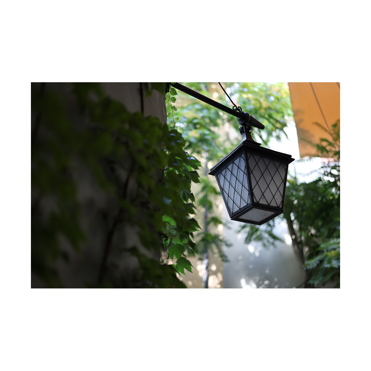 Canon RF 50mm F1.4 L VCM