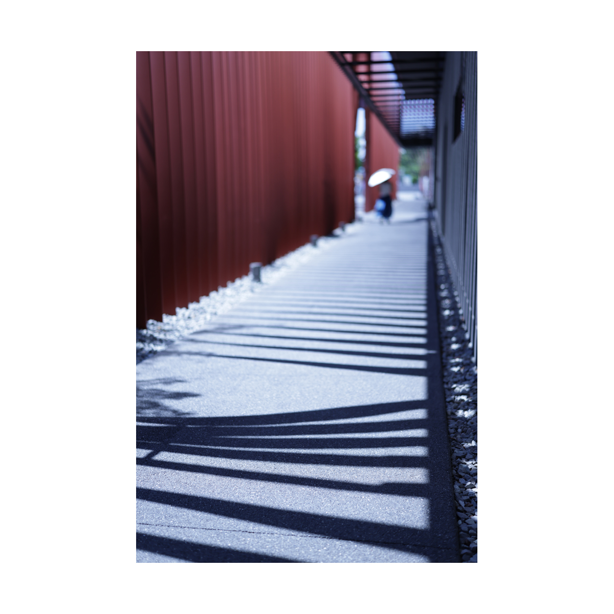 Canon RF 50mm F1.4 L VCM