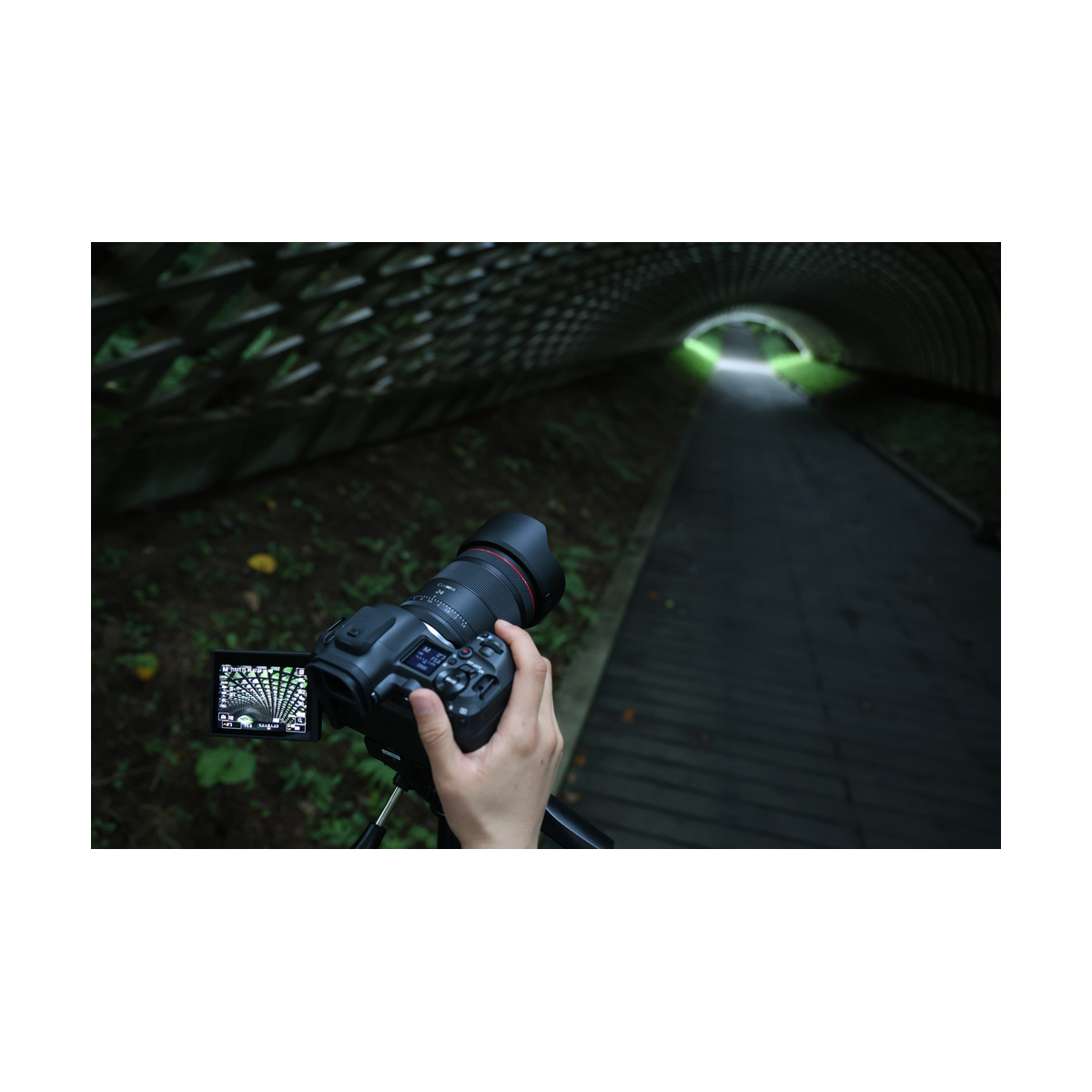 Canon RF 24mm F1.4 L VCM