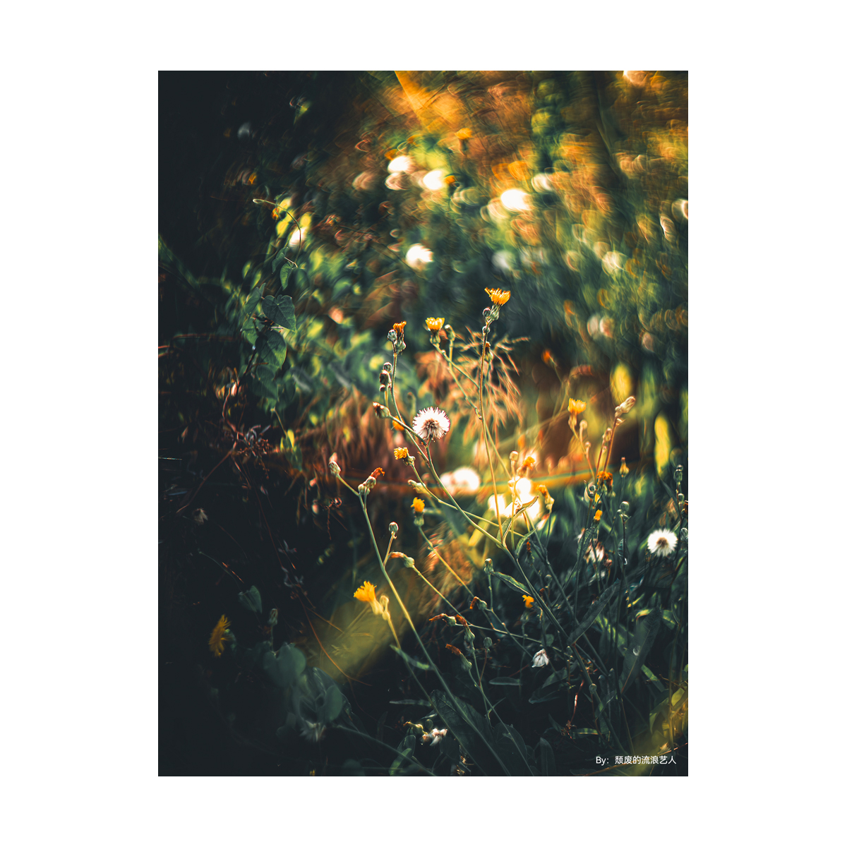 TTArtisan 75mm F/1.5 Fullframe