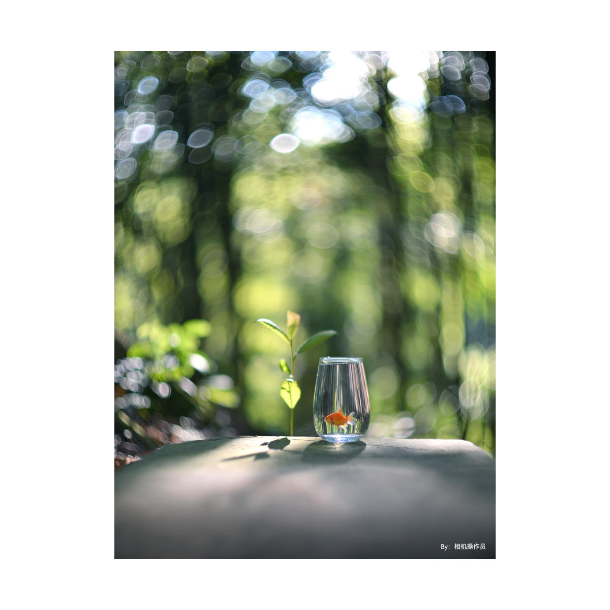 TTArtisan 75mm F/1.5 Fullframe